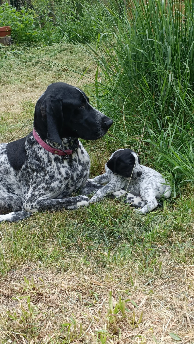 Sidonie du Bruil Saint Amand