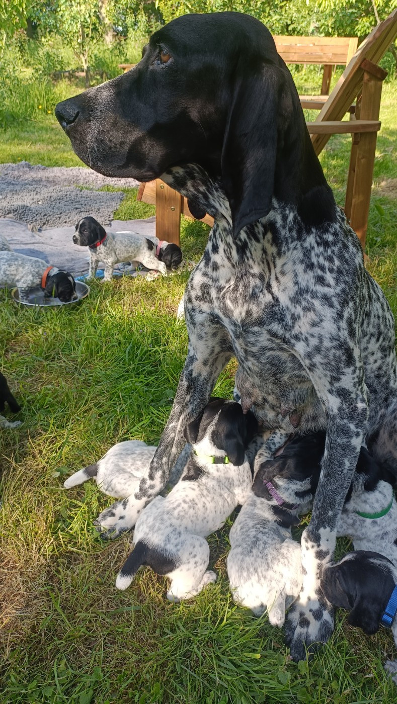 Naissance attendue vers le 15 mars 2026